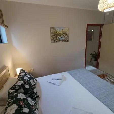 Apartman Libelloula's Google It Lijá